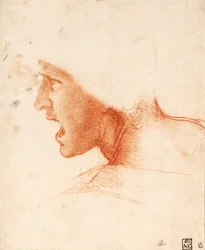 Studie eines Kriegerkopfes für die Schlacht von Anghiari